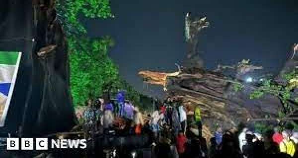 Sierra Leone's iconic cotton tree felled by storm